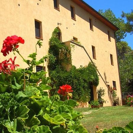 Agriturismo Lupo Vecchio Villa Grosseto Exterior photo