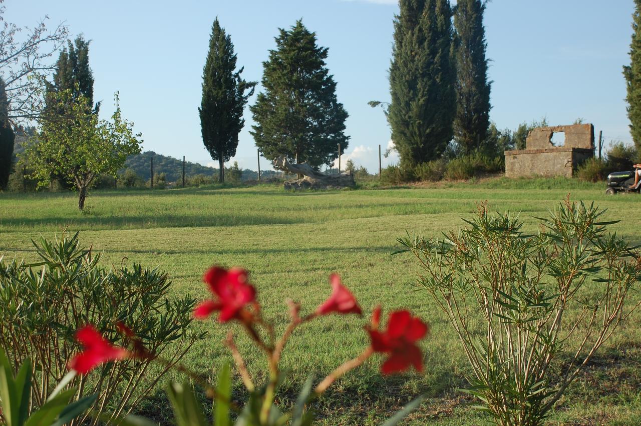 Agriturismo Lupo Vecchio Villa Grosseto Exterior photo